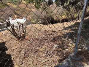 Terreno en venta en El Palmar, Cuernavaca — foto 3 de 6