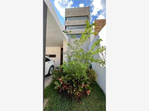 Casa en renta en Dzitya, Mérida — foto 2 de 15