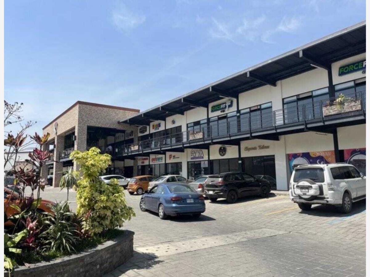 Edificio en venta en Alvaro Obregon, Xalapa