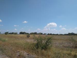 Terreno en venta en El Sauz Alto, Pedro Escobedo — foto 2 de 9