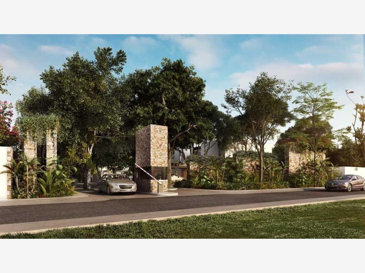 Terreno en venta en Santa Gertrudis Copo, Mérida — foto 1 de 24