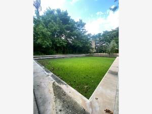 Terreno en venta en Santa Gertrudis Copo, Mérida — foto 3 de 24