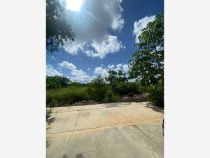 Terreno en venta en Santa Gertrudis Copo, Mérida — foto 2 de 24