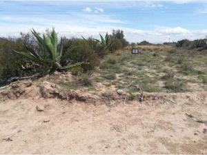 Terreno en venta en Santiago Tlapacoya Centro, Pachuca de Soto — foto 3 de 6