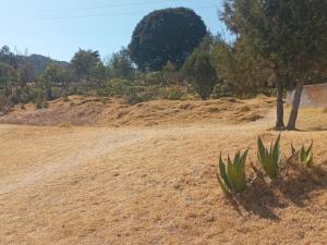 Terreno en venta en La Estanzuela, Mineral del Chico — foto 2 de 5