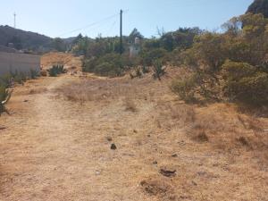 Terreno en venta en La Estanzuela, Mineral del Chico — foto 3 de 5