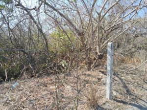 Terreno en venta en Punta Tiburón, Residencial, Marina y Golf, Alvarado — foto 2 de 31