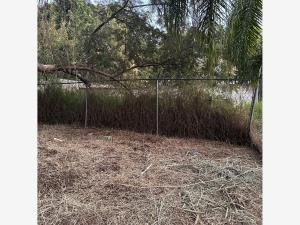 Terreno en venta en Las Granjas, Cuernavaca — foto 2 de 19