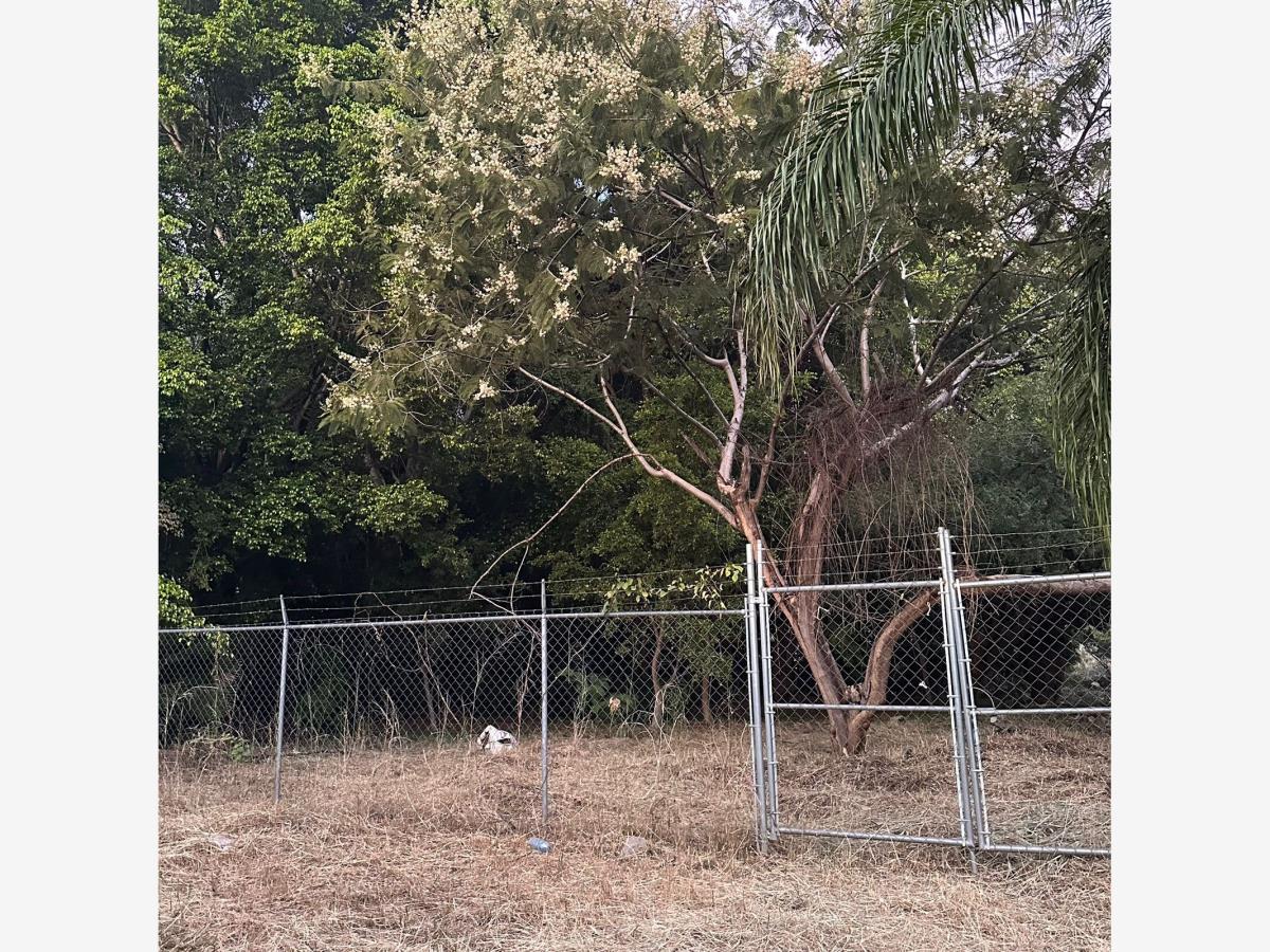 Terreno en venta en Las Granjas, Cuernavaca — foto 1 de 19