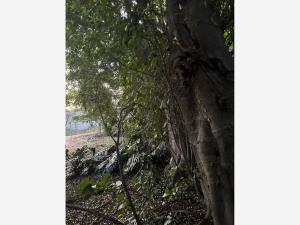 Terreno en venta en Las Granjas, Cuernavaca — foto 2 de 19