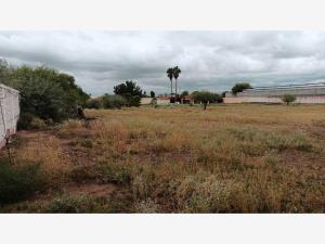Terreno en renta en Latinoamericano, Torreón — foto 3 de 8