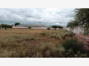 Terreno en renta en Latinoamericano, Torreón — foto 2 de 8
