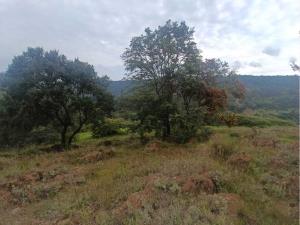 Terreno en venta en Jesus del Monte, Morelia — foto 2 de 23