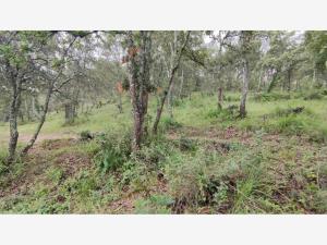 Terreno en venta en Jesus del Monte, Morelia — foto 3 de 23