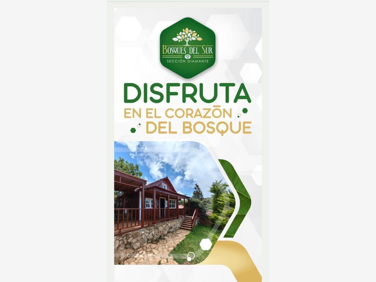 Terreno en venta en Maria Auxiliadora, San Cristóbal de las Casas — foto 1 de 16