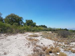 Terreno en venta en Arteaga Centro, Arteaga — foto 2 de 6