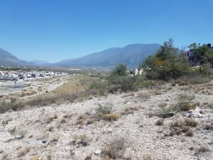 Terreno en venta en Arteaga Centro, Arteaga — foto 3 de 6