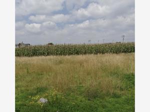 Terreno en venta en San Miguel Totocuitlapilco, Metepec — foto 2 de 3