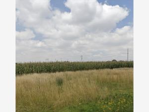 Terreno en venta en San Miguel Totocuitlapilco, Metepec — foto 3 de 3