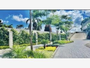 Departamento en venta en Real de Tetela, Cuernavaca — foto 3 de 14