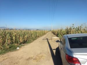 Terreno en venta en Techichilco, Cocotitlán — foto 2 de 8
