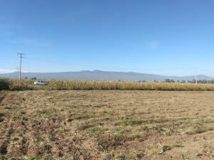 Terreno en venta en Techichilco, Cocotitlán — foto 3 de 8