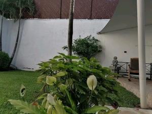 Casa en venta en Lomas de Miraval, Cuernavaca — foto 3 de 20