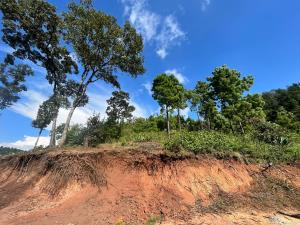 Terreno en venta en Mil Cumbres, Morelia — foto 3 de 9
