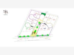 Terreno en venta en Ejido Ana, Torreón — foto 2 de 6