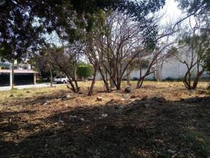 Terreno en venta en Las Fincas, Jiutepec — foto 2 de 6