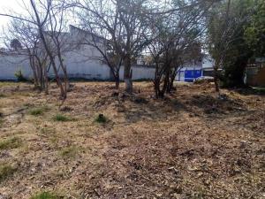Terreno en venta en Las Fincas, Jiutepec — foto 3 de 6