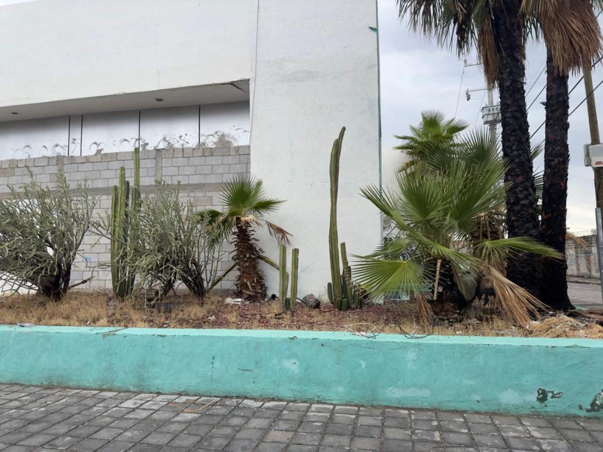 Vista 5 de Bodega en Renta en Moctezuma, Torreón, Coahuila de Zaragoza