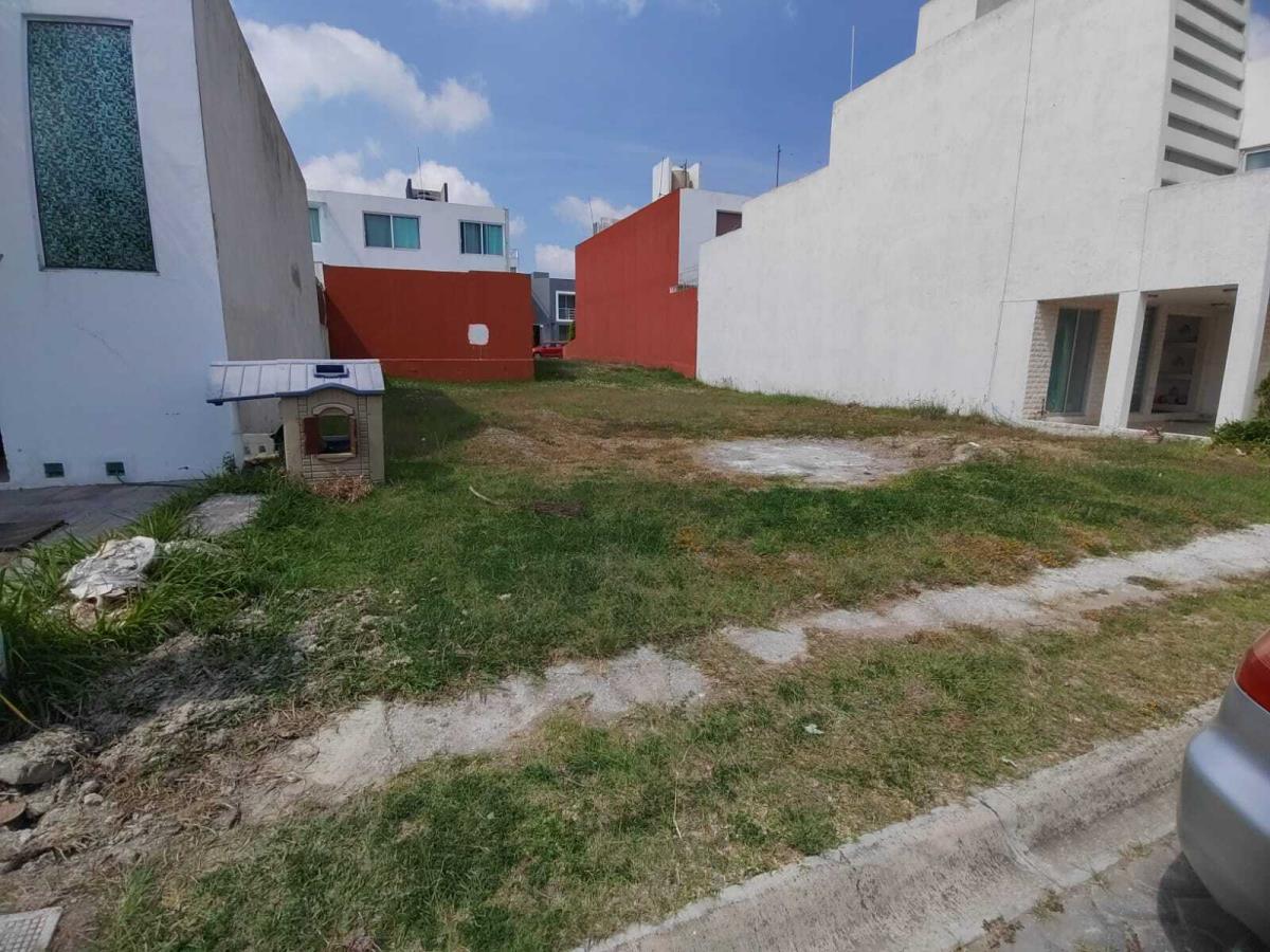 Imagen 4