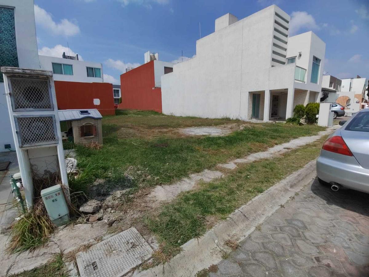 Imagen 5