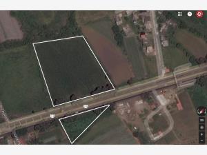 Terreno en venta en Telchicayac (El Cabellito), Atlatlahucan — foto 2 de 12
