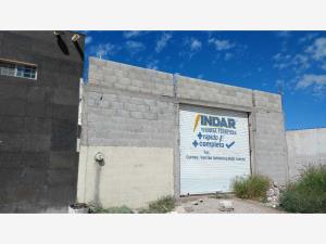 Terreno en renta en Ampliación Senderos, Torreón — foto 3 de 3