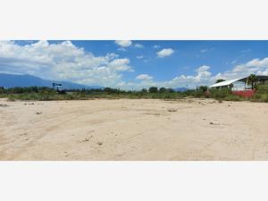 Terreno en renta en Los Gonzalez, Saltillo — foto 3 de 10