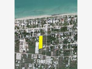 Terreno en venta en Telchac Puerto, Telchac Puerto — foto 3 de 6