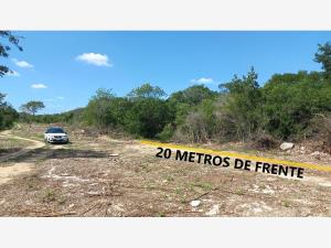 Terreno en venta en Komchen, Mérida — foto 2 de 8