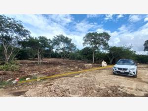 Terreno en venta en Komchen, Mérida — foto 3 de 8