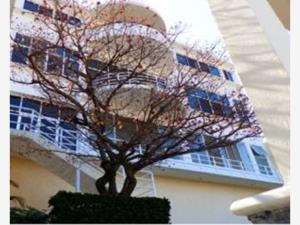 Casa en venta en Cuernavaca Centro, Cuernavaca — foto 2 de 8