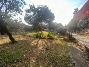 Casa en venta en La Paloma, Cuernavaca — foto 2 de 12
