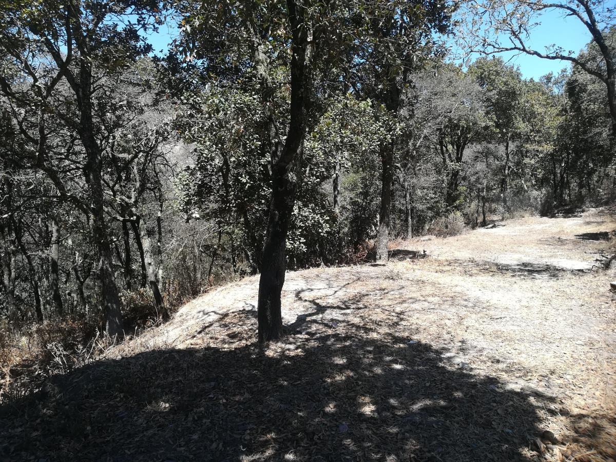 Terreno en venta en La Estanzuela, Mineral del Chico — foto 1 de 11