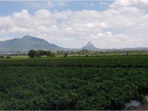 Terreno en venta en La Estancia, San Juan del Río — foto 2 de 10