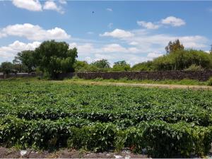 Terreno en venta en La Estancia, San Juan del Río — foto 3 de 10
