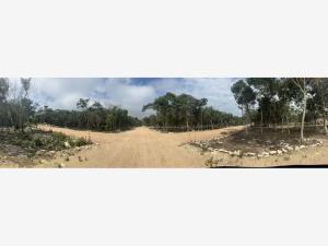 Terreno en venta en Tuxtla Nuevo, Tuxtla Gutiérrez — foto 2 de 9