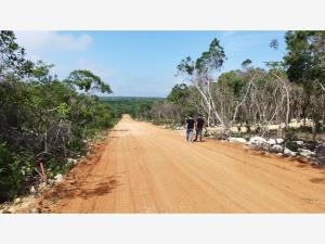 Terreno en venta en Tuxtla Nuevo, Tuxtla Gutiérrez — foto 3 de 9