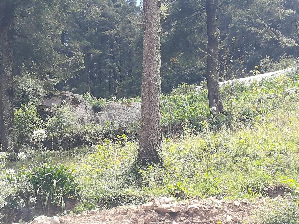 Terreno en venta en Carboneras, Mineral del Chico — foto 1 de 16