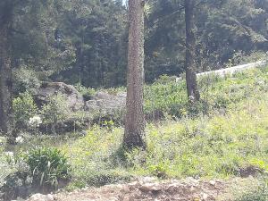 Terreno en venta en Carboneras, Mineral del Chico, Hidalgo