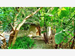 Casa en venta en Comala, Comala — foto 3 de 28